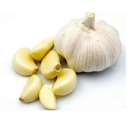 Garlic - 1 Head