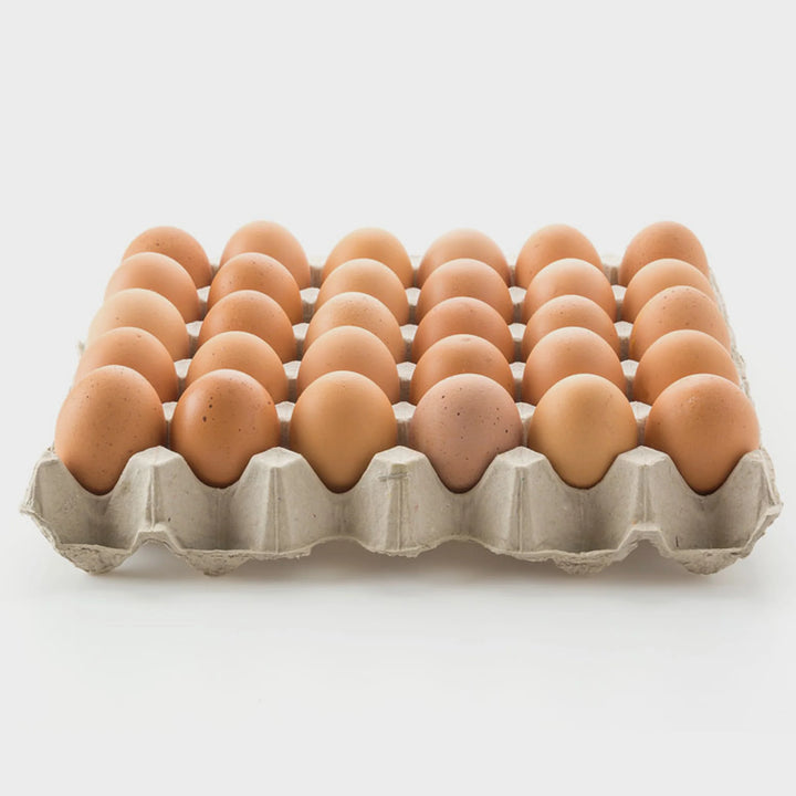 Trays of Eggs