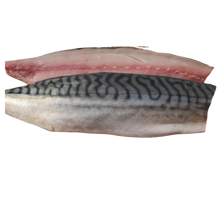 Salt Mackerel